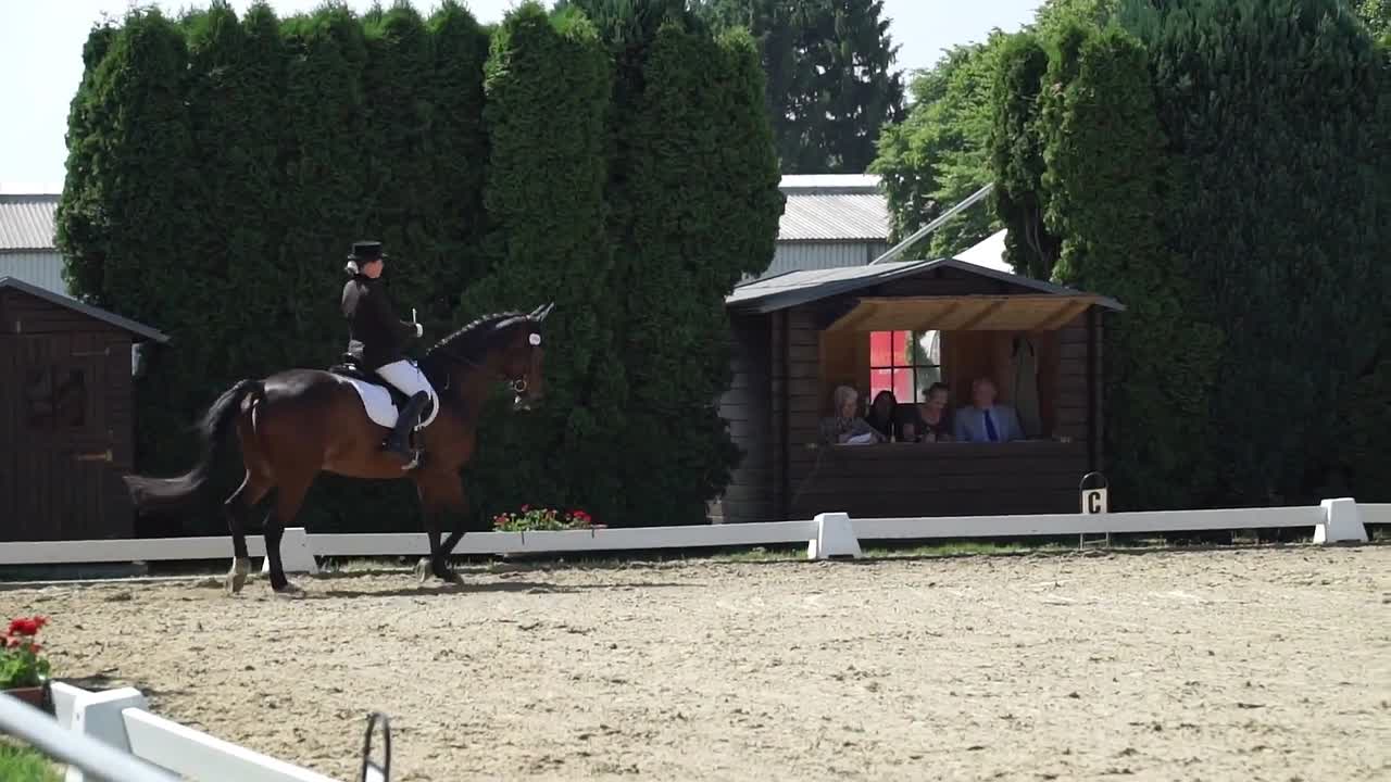 Mein Pferd sieht Geister, was kann ich tun¿ (1080p_30fps_H264-128kbit_AAC)