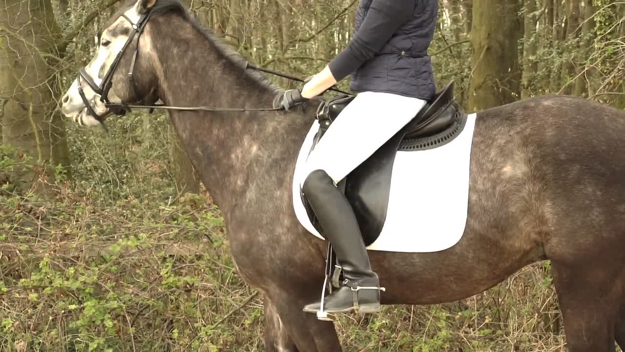 Mit welchen Muskeln treibe ich¿ (1080p_30fps_H264-128kbit_AAC)