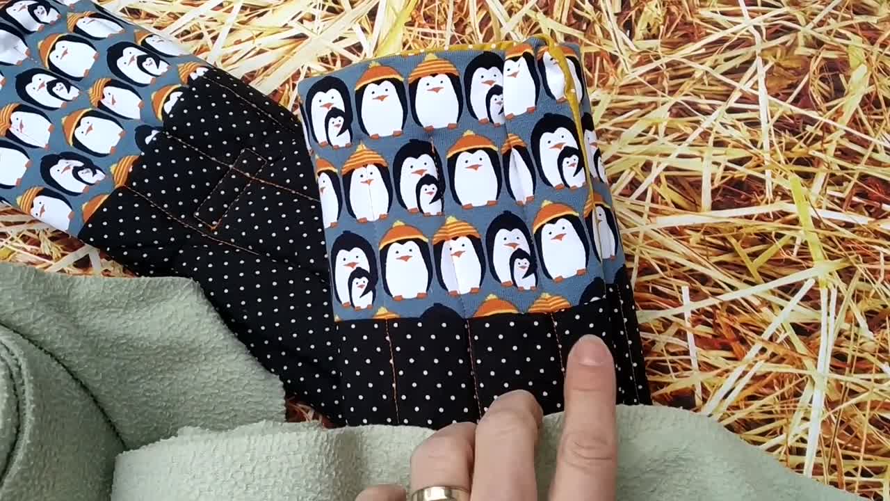 Pferdeführerschein Umgang Teil 4 Beinschutz & Hilfszügel (1080p_30fps_H264-128kbit_AAC)