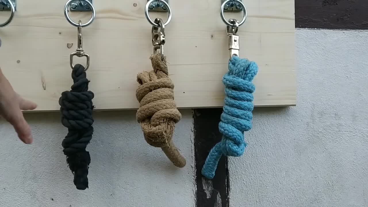 Pferdewissen Anbindeknoten (1080p_30fps_H264-128kbit_AAC)