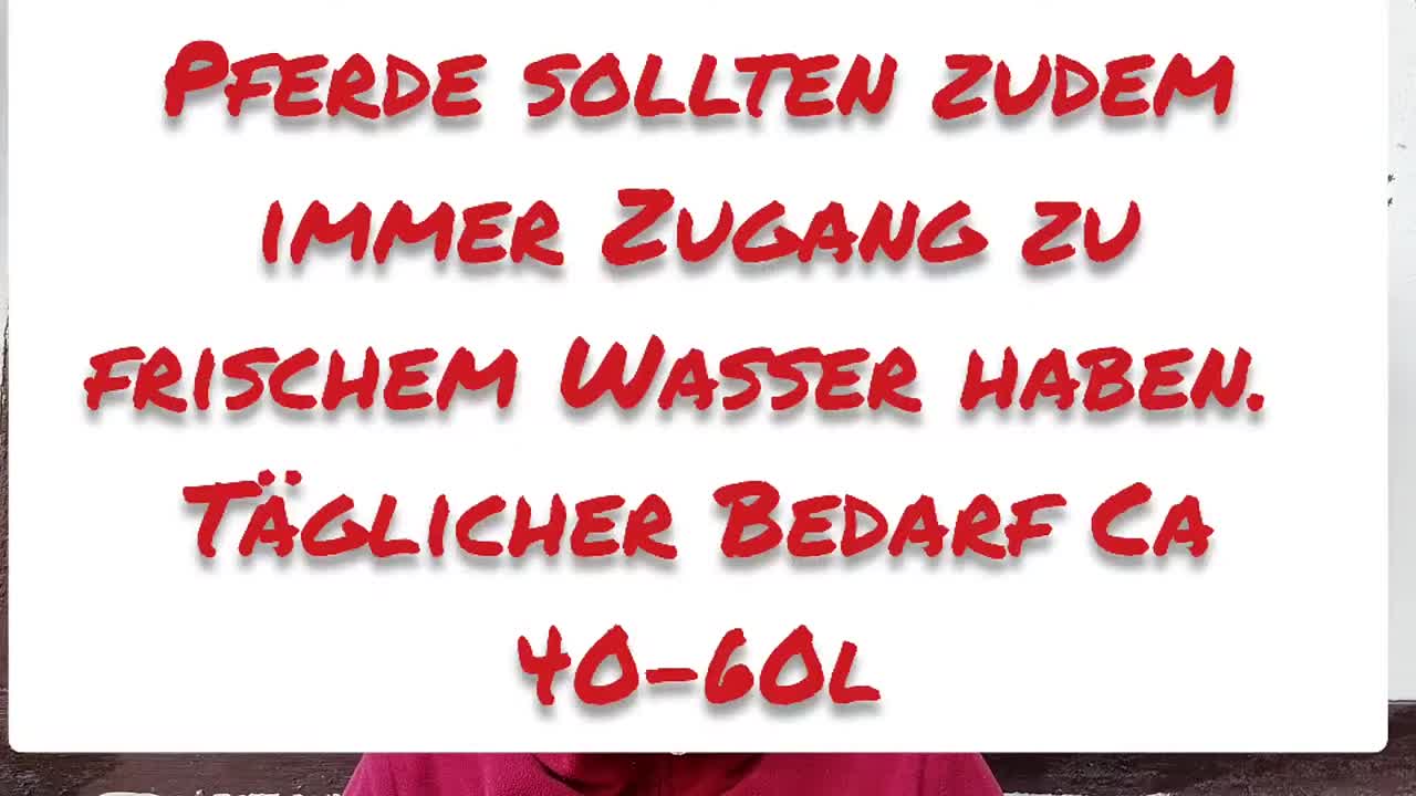 Pferdeführerschein Umgang Teil 6 Haltung & Gesundheit (1080p_30fps_H264-128kbit_AAC)