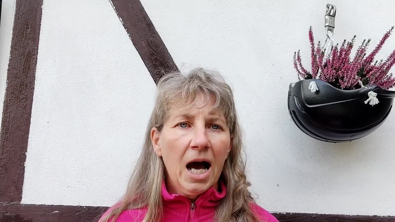 Pferdeführerschein Umgang Teil 7 Führen & Verladen (1080p_30fps_H264-128kbit_AAC)