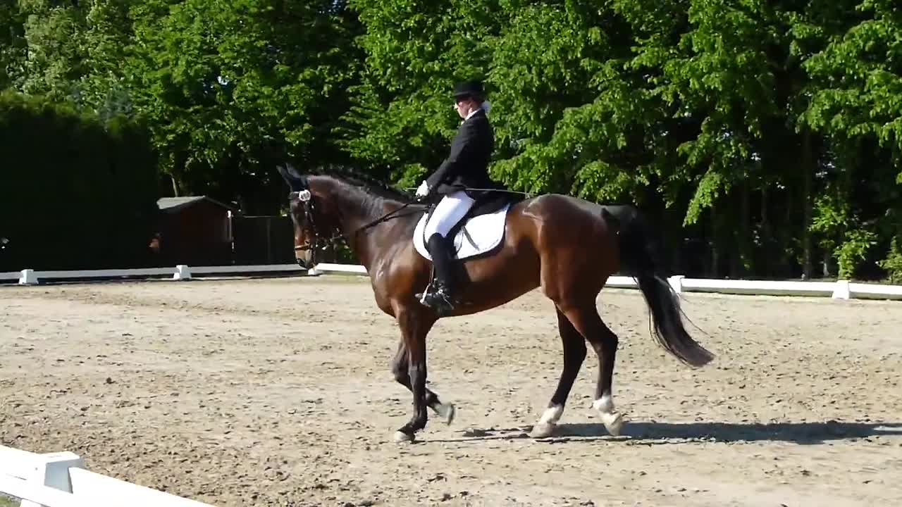 Reitabzeichen 4 - 3 Theorieinhalte Schwerpunkt Dressur (1080p_30fps_H264-128kbit_AAC)