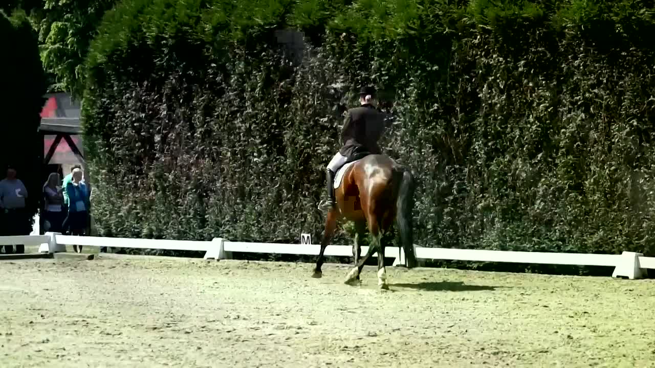 Reitabzeichen 5-4 Theorieinhalte (1080p_30fps_H264-128kbit_AAC)