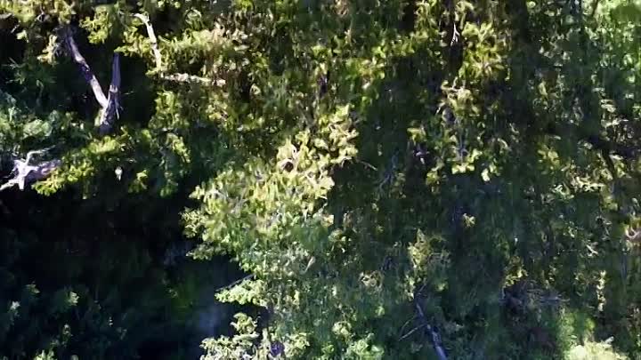 The UnBelievable with Dan Aykroyd S02E06