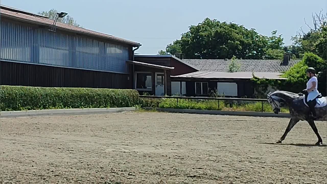 Rückwärts wirkende Hilfen!¿ (1080p_30fps_H264-128kbit_AAC)