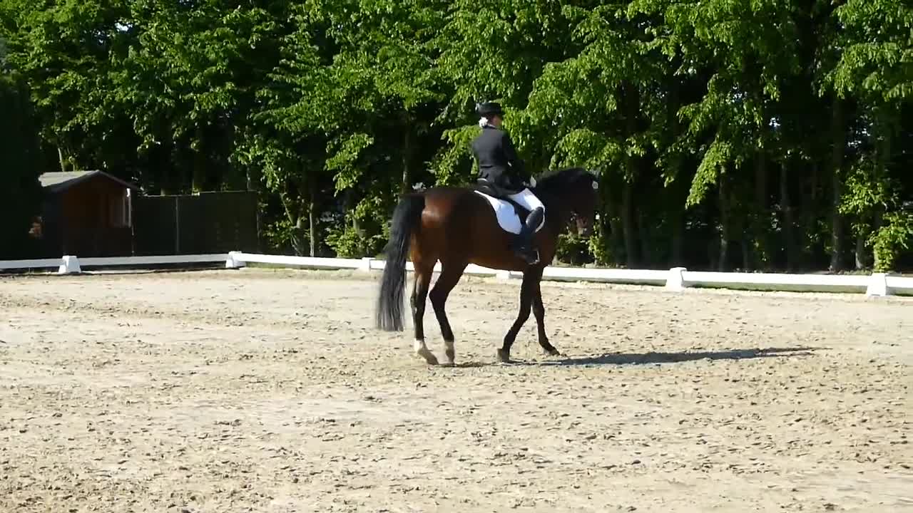 Rückwärtsrichten (1080p_30fps_H264-128kbit_AAC)