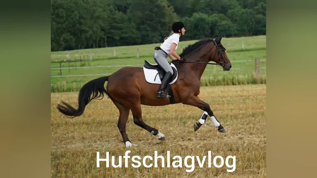 Schenkelweichen (1080p_30fps_H264-128kbit_AAC)