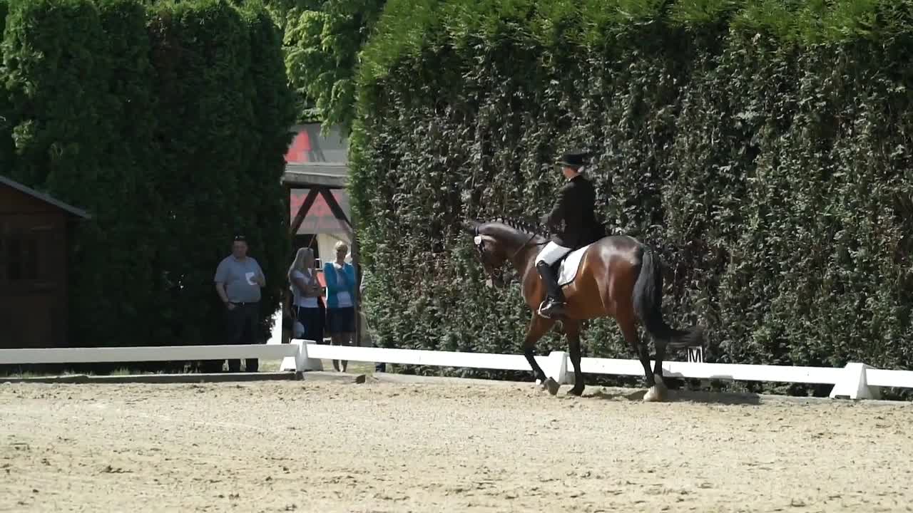 Schlangenlinien richtig reiten! (1080p_30fps_H264-128kbit_AAC)