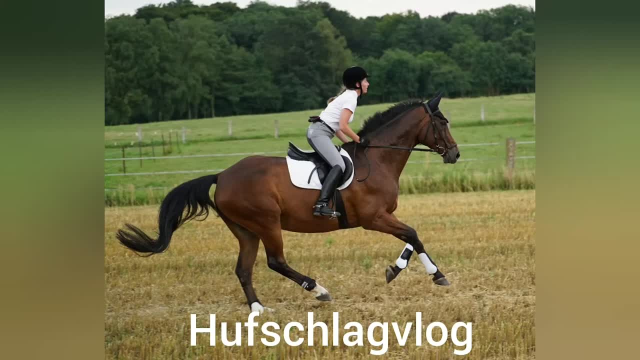 ⁣Reiter Life Hacks (1080p_30fps_H264-128kbit_AAC)