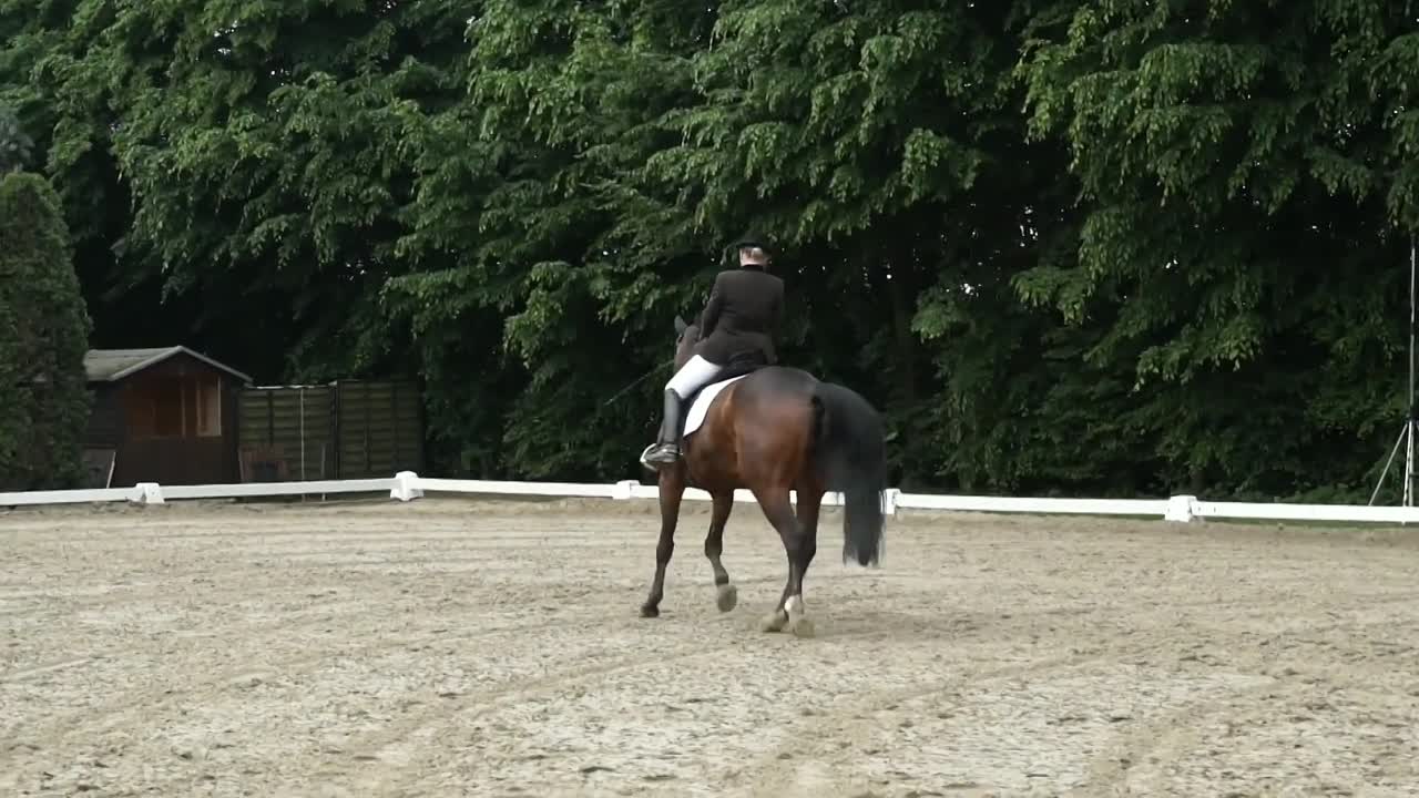 Schulterherein (1080p_30fps_H264-128kbit_AAC)