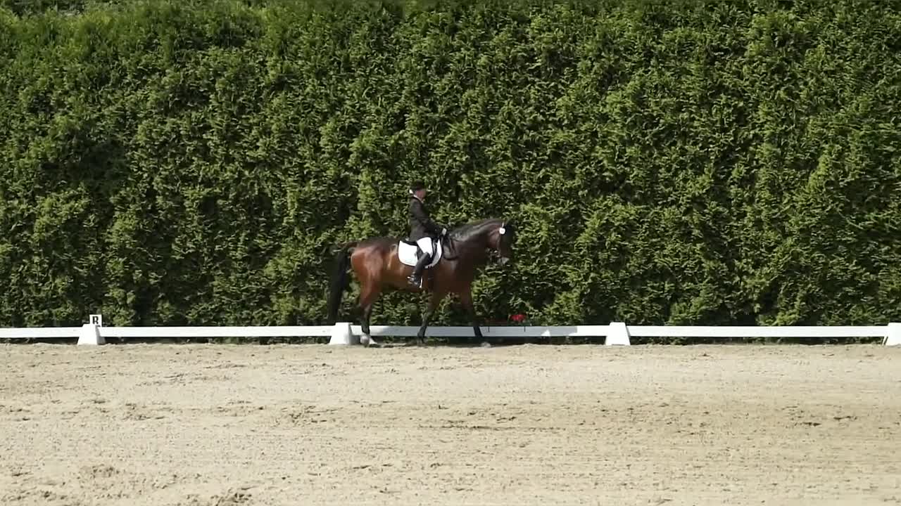 Turnierreiten - Ausschreibung (1080p_30fps_H264-128kbit_AAC)