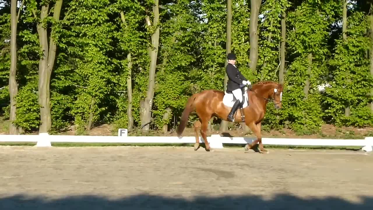 Turnierreiten - Grußaufstellung (1080p_30fps_H264-128kbit_AAC)