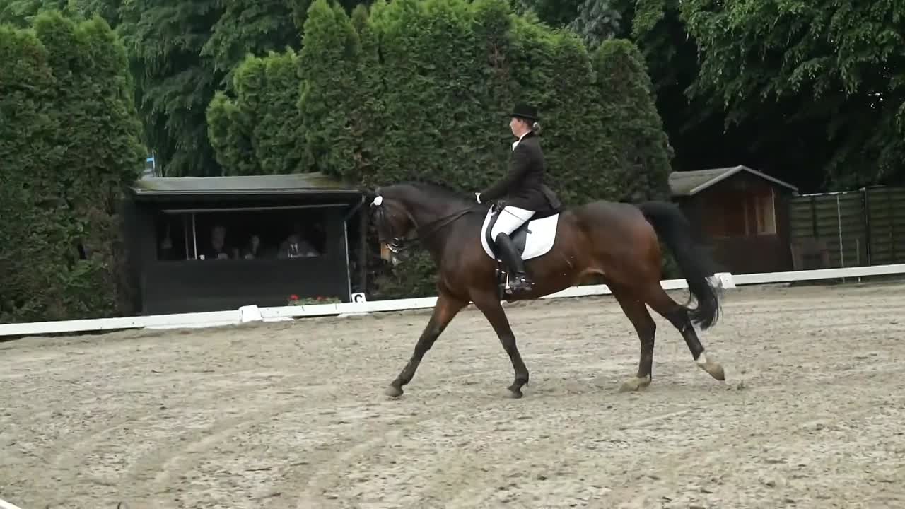 Turnierreiten Platzierung (1080p_30fps_H264-128kbit_AAC)