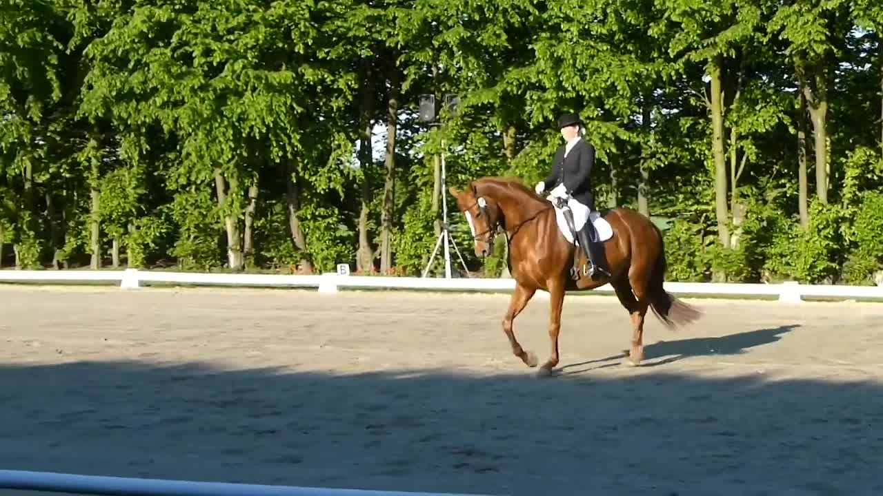 Turnierreiten- Wie werde ich Turnierreiter¿ (1080p_30fps_H264-128kbit_AAC)