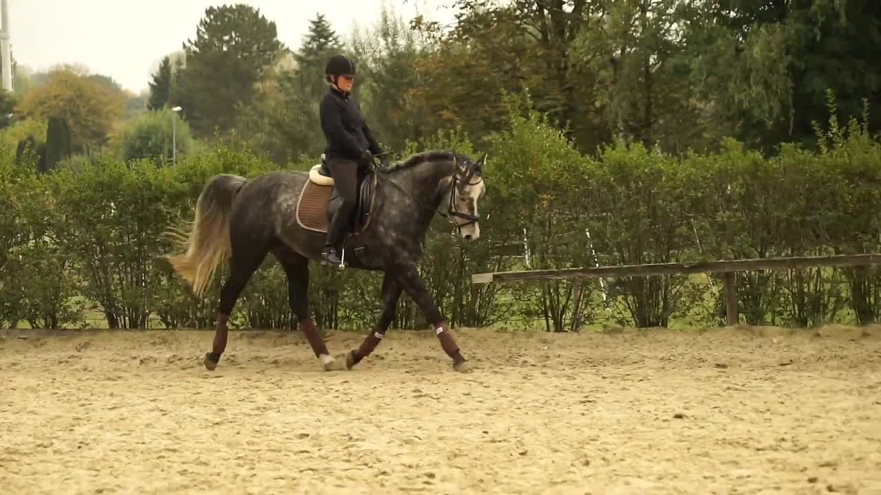 ⁣Warum geht mein Pferd rechts oder links herum besser¿ (1080p_30fps_H264-128kbit_AAC)