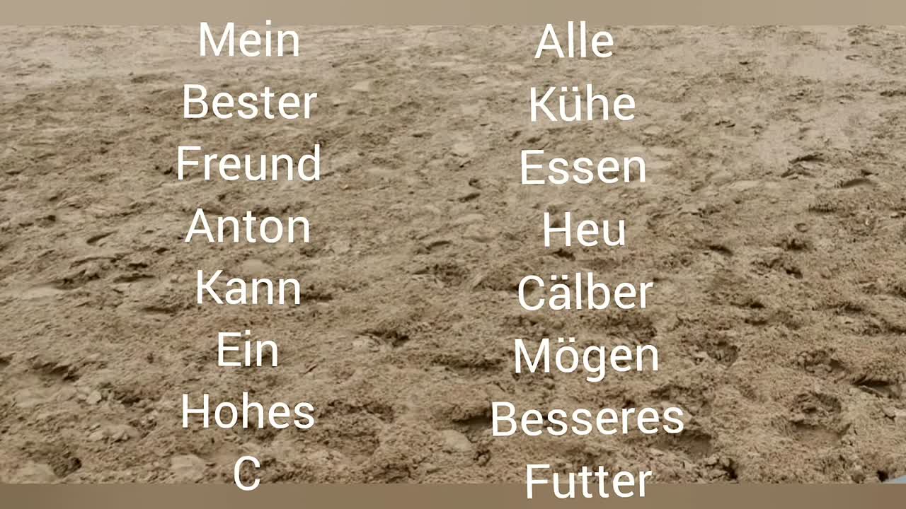 Warum ist das Dressurviereck so merkwürdig¿ (1080p_30fps_H264-128kbit_AAC)