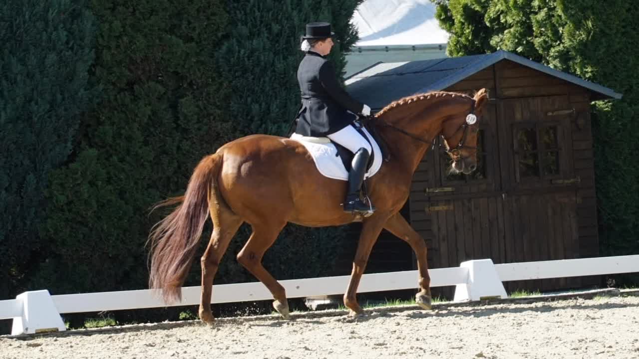 Was ist rittlings¿ (1080p_30fps_H264-128kbit_AAC)