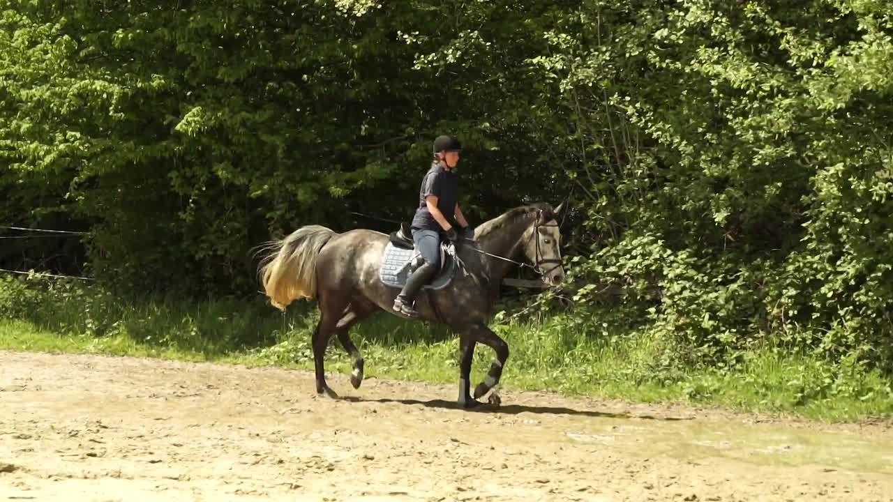 Was sind die häufigsten Fehler beim Leichttraben¿ (1080p_30fps_H264-128kbit_AAC)