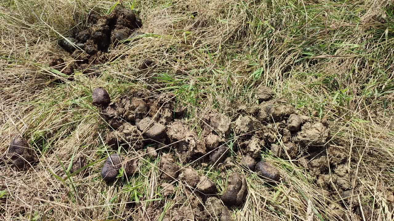 Was sind Geilstellen¿ (1080p_30fps_H264-128kbit_AAC)