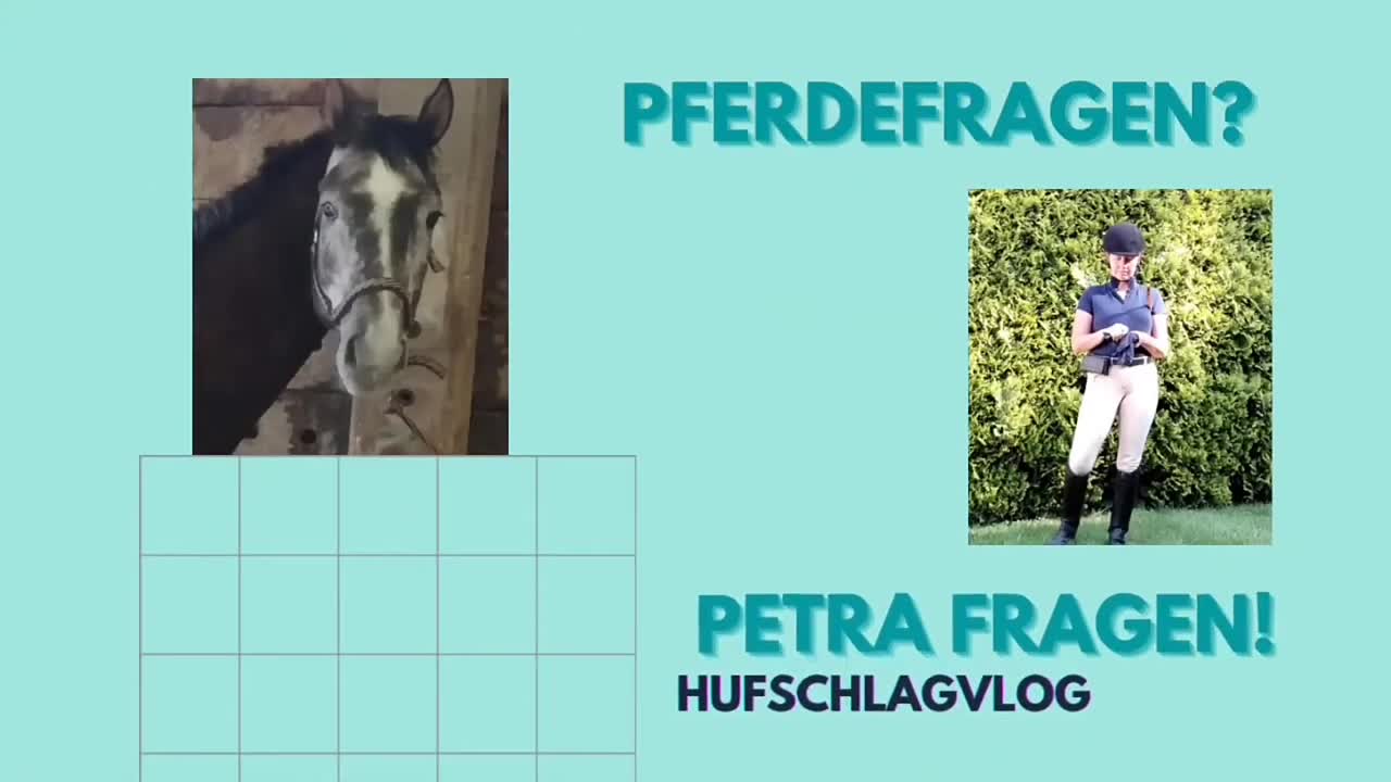 Was sind Grundgangarten¿ (1080p_30fps_H264-128kbit_AAC)