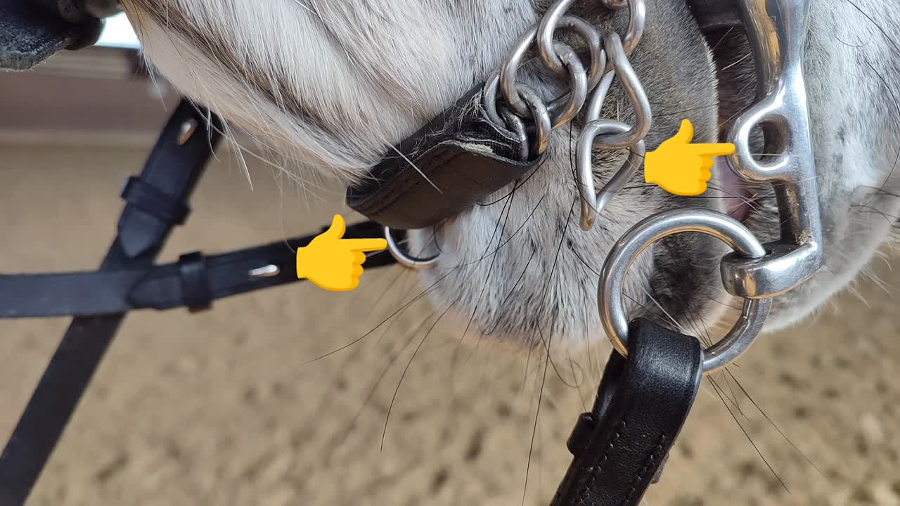 Was sind Scherringe¿ (1080p_30fps_H264-128kbit_AAC)