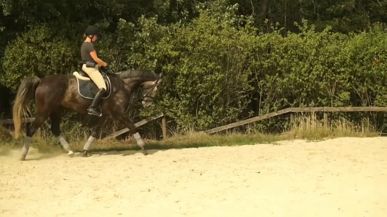 Wie bremse ich ein Pferd¿ (1080p_30fps_H264-128kbit_AAC)