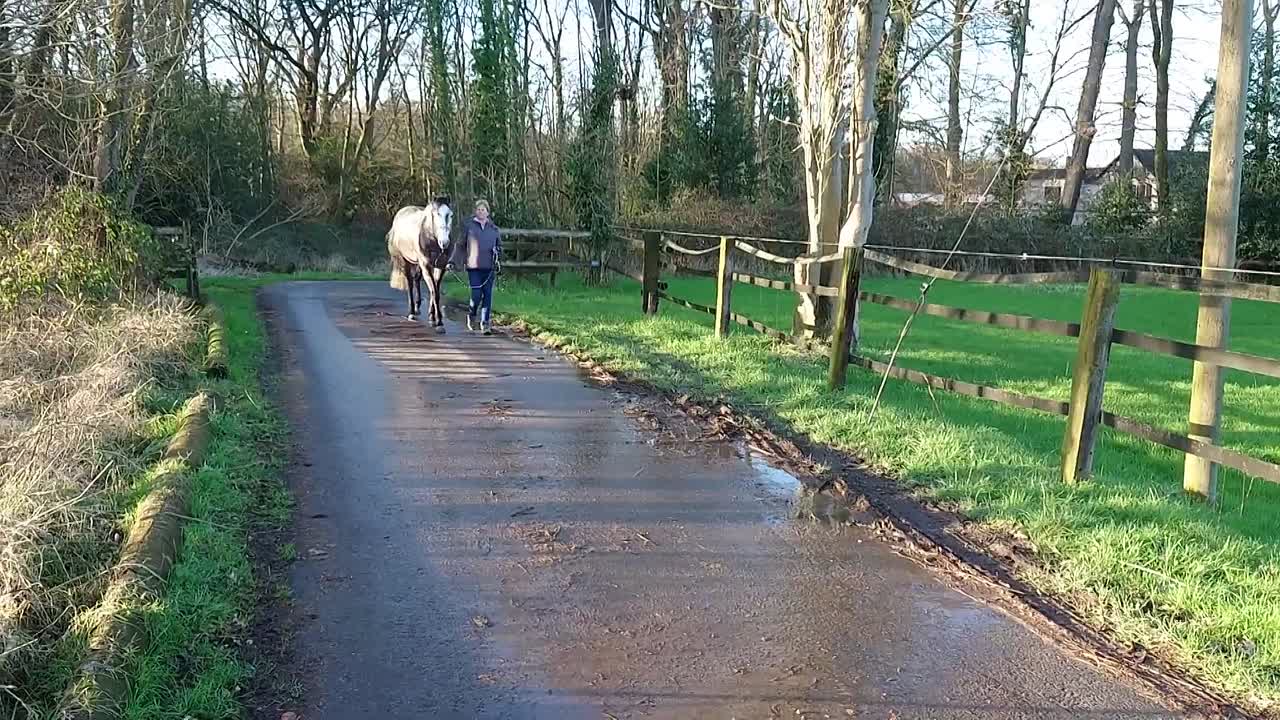 Wie führe ich ein Pferd¿ (1080p_30fps_H264-128kbit_AAC)