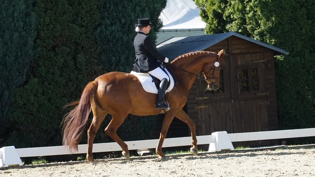 Warum soll das Zügelende nach rechts¿ (1080p_30fps_H264-128kbit_AAC)