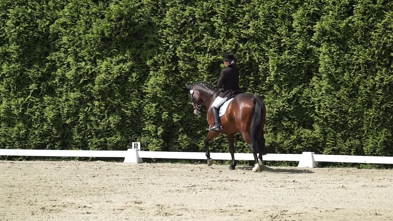 Was Hufschlagfiguren über meine reiterlichen Fähigkeiten verraten !¿ (1080p_30fps_H264-128kbit_AAC)