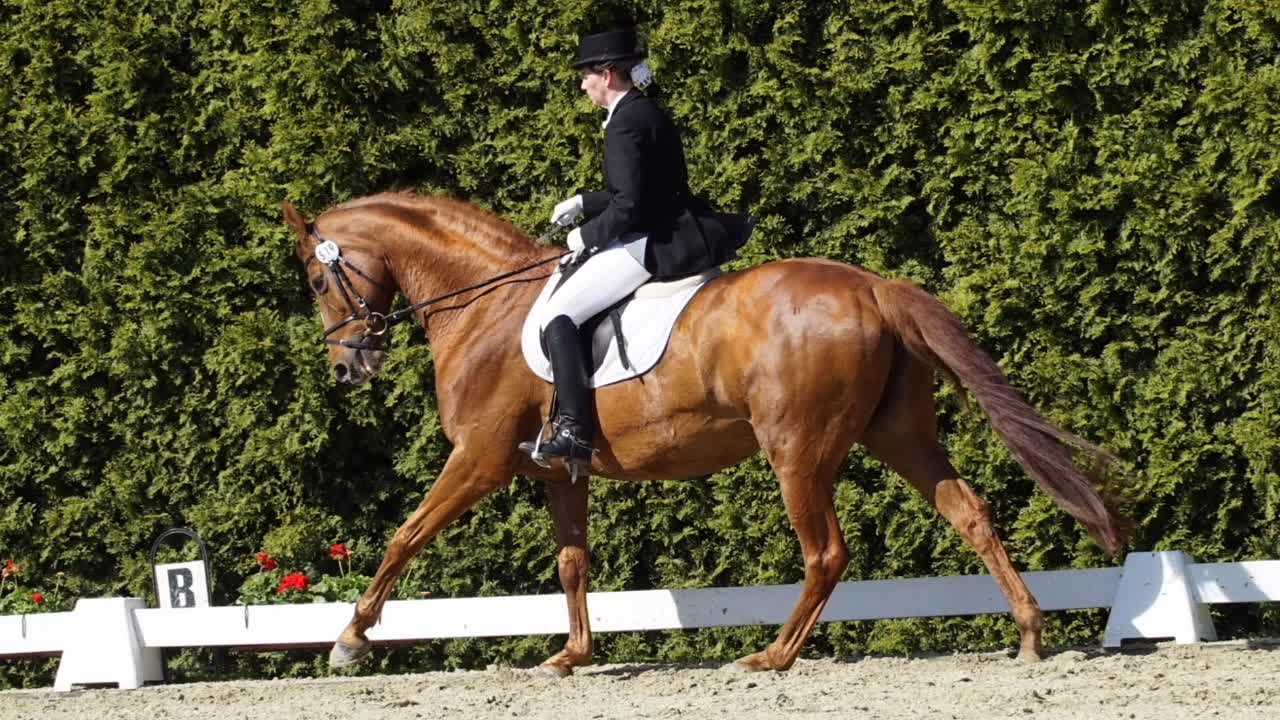 Was ist ' Am Bändel' reiten¿ (1080p_30fps_H264-128kbit_AAC)