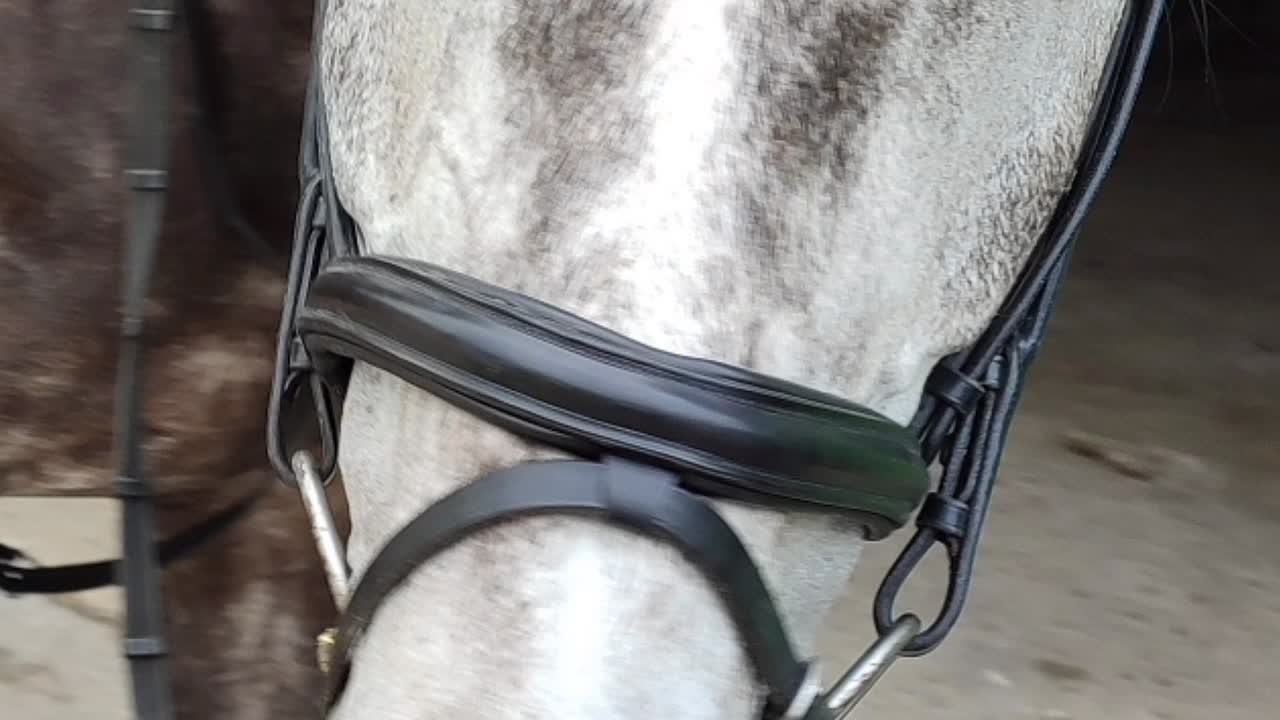 Was ist bombiert¿ (1080p_30fps_H264-128kbit_AAC)