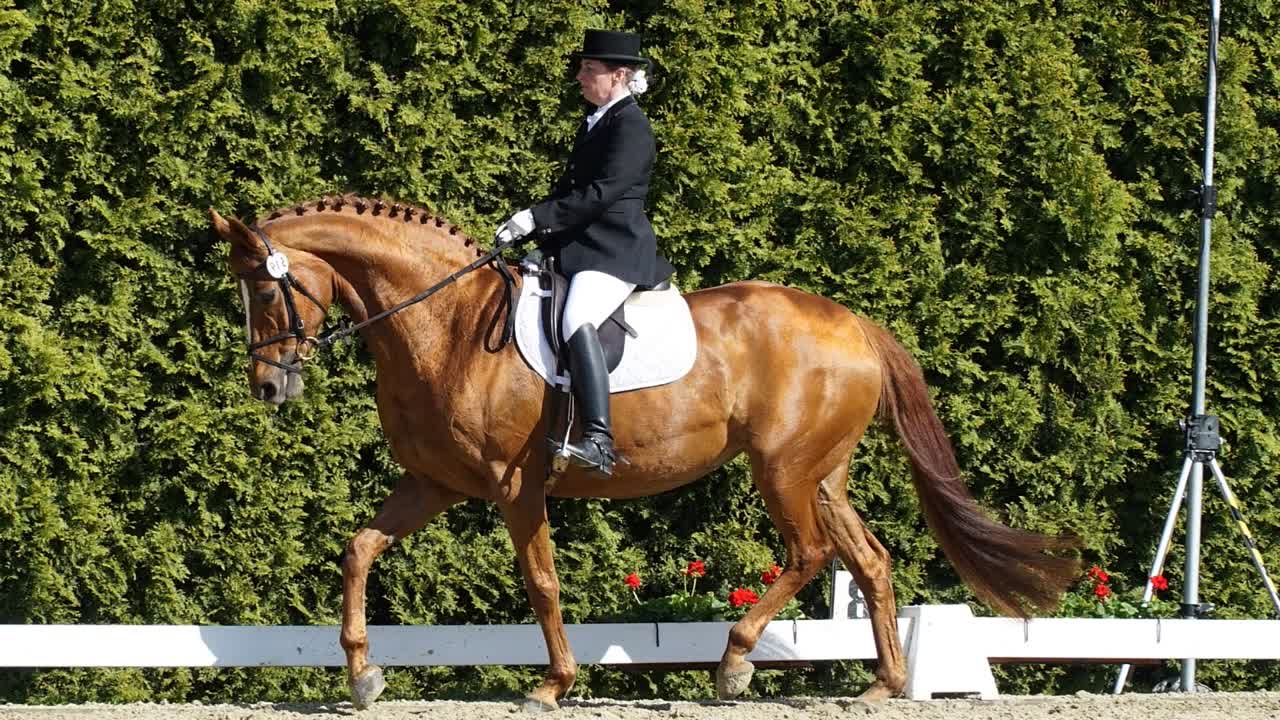 Was ist Bügeltritt¿ (1080p_30fps_H264-128kbit_AAC)