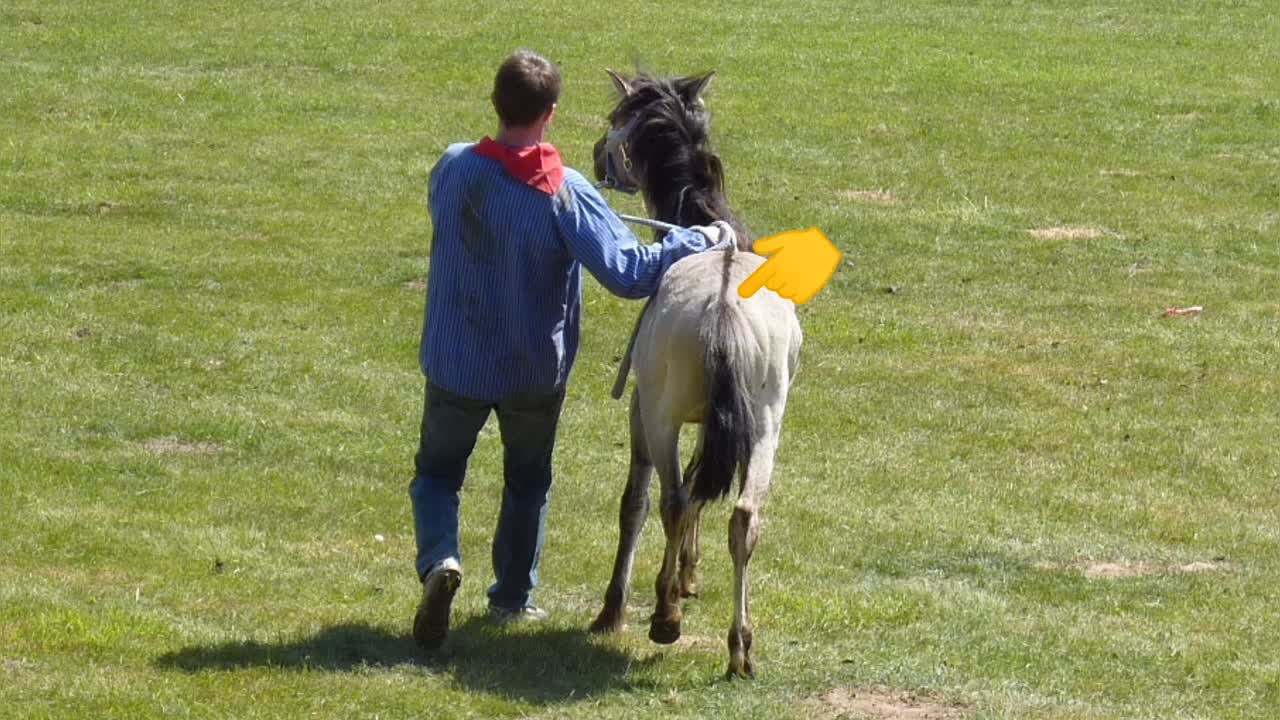 Was ist ein Aalstrich¿ (1080p_30fps_H264-128kbit_AAC)