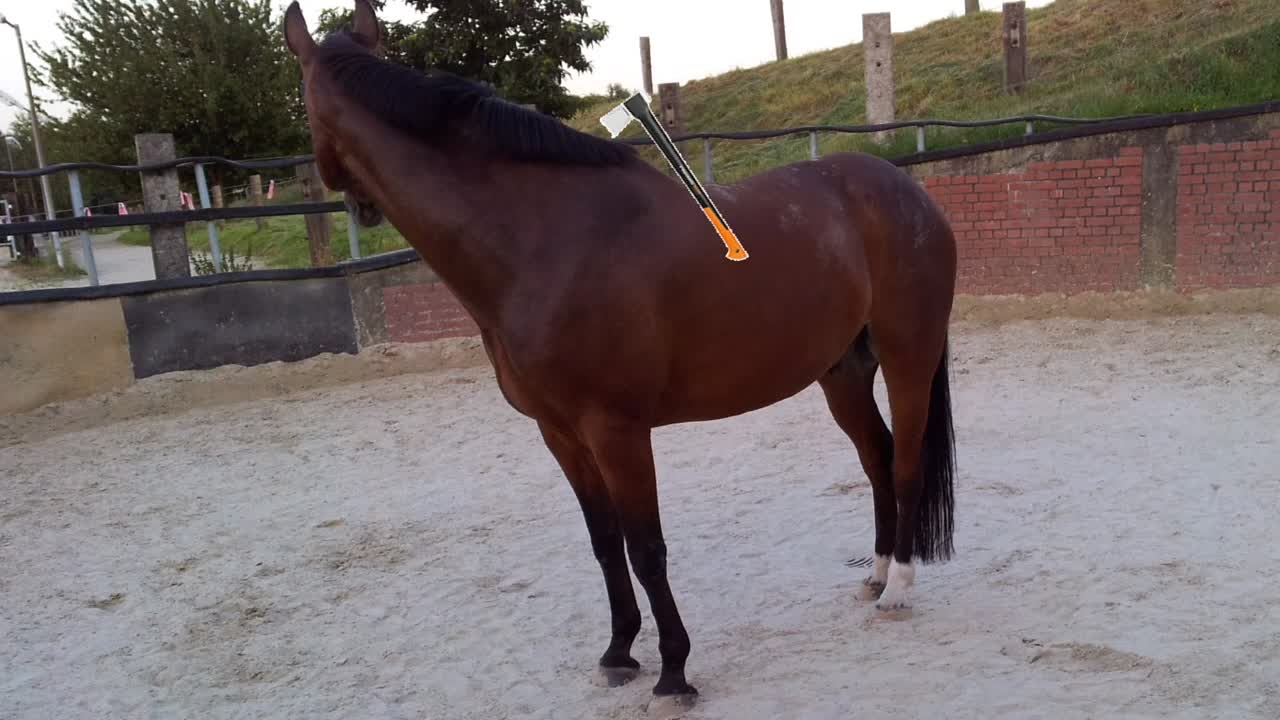 Was ist ein Axthieb¿ (1080p_30fps_H264-128kbit_AAC)