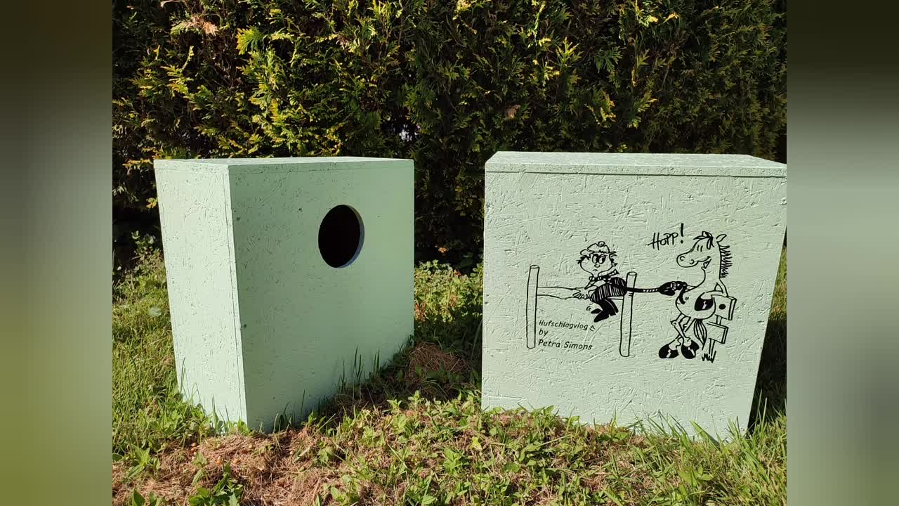 Was ist ein Cavaletti¿ (1080p_30fps_H264-128kbit_AAC)