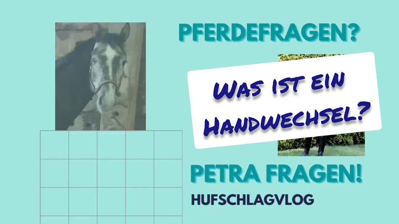 Was ist ein Handwechsel¿ (1080p_30fps_H264-128kbit_AAC)