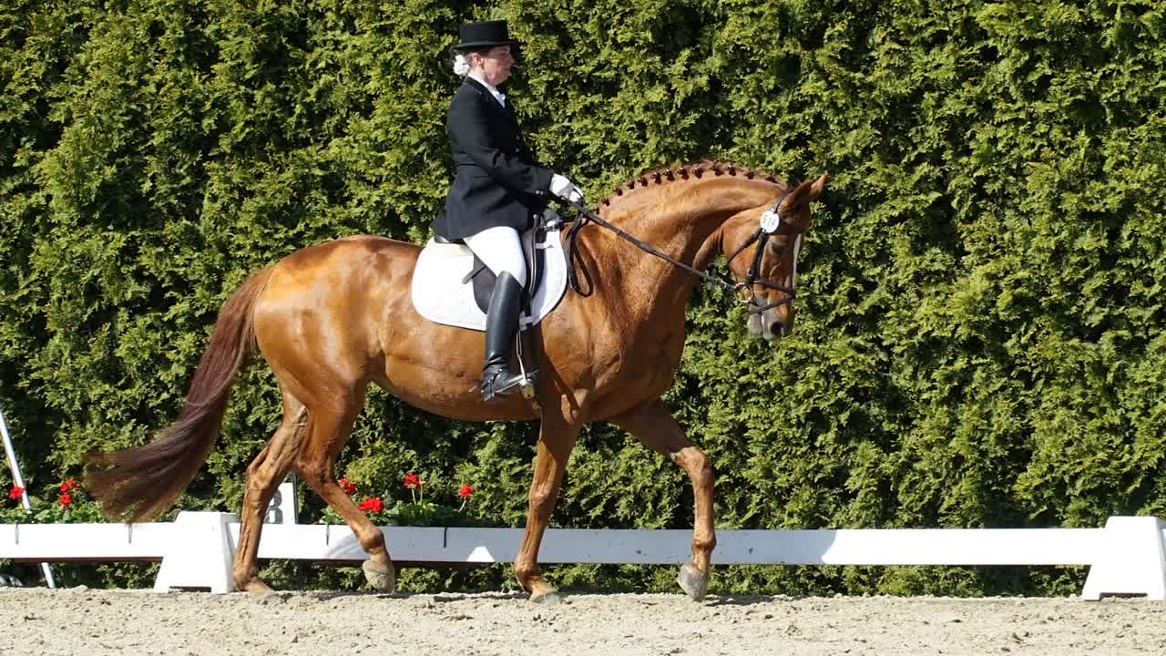 Was ist ein Hufschlag¿ (1080p_30fps_H264-128kbit_AAC)