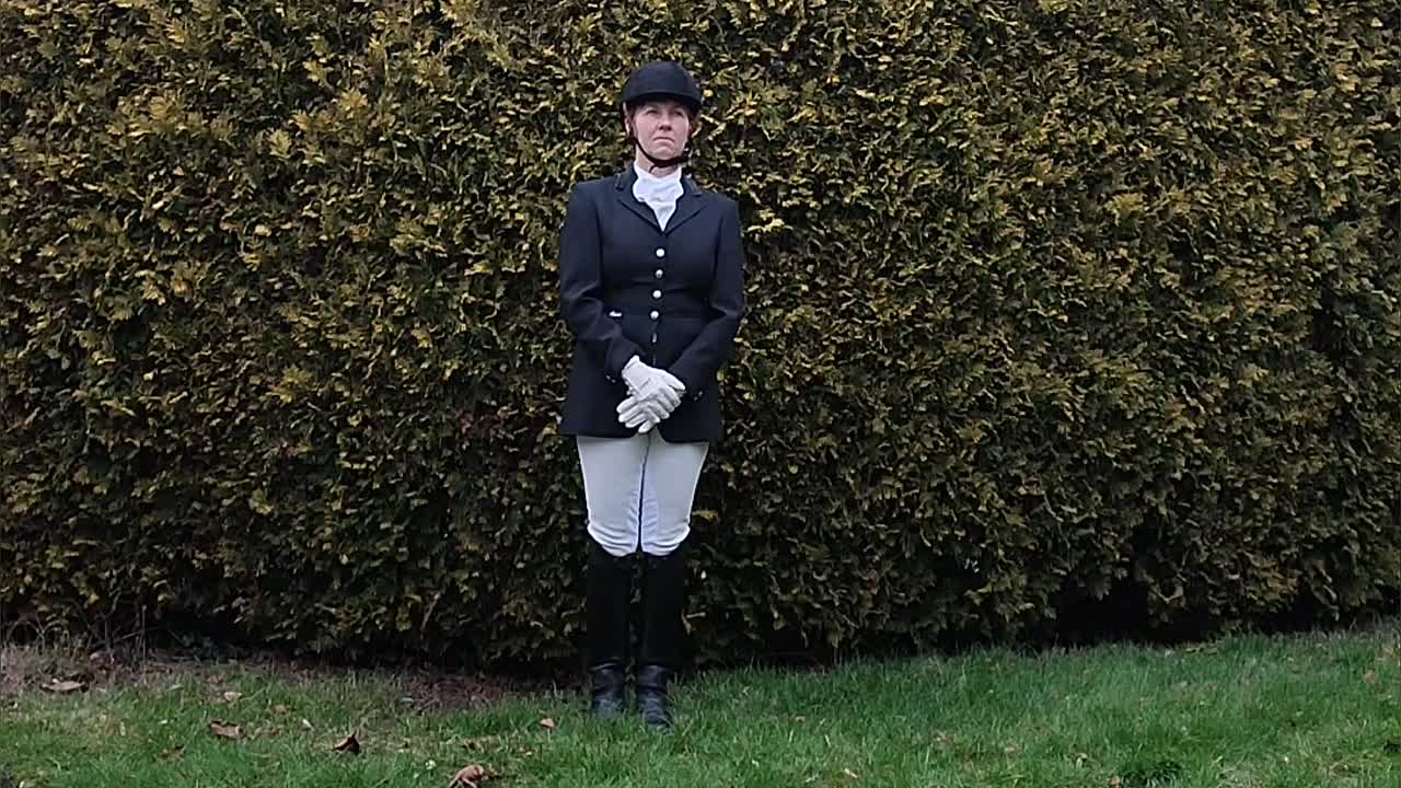 Was ist ein Plastron¿ (1080p_30fps_H264-128kbit_AAC)