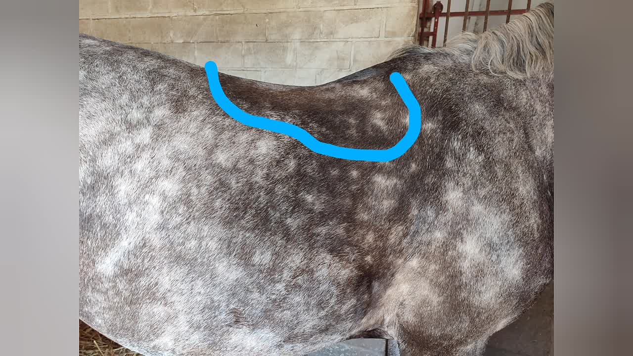 Was ist ein Schweissbild¿ (1080p_30fps_H264-128kbit_AAC)