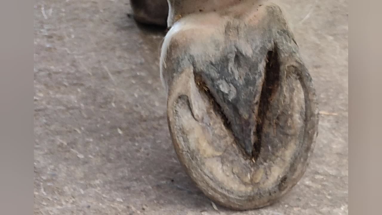 Was ist ein Strahl¿ (1080p_30fps_H264-128kbit_AAC)