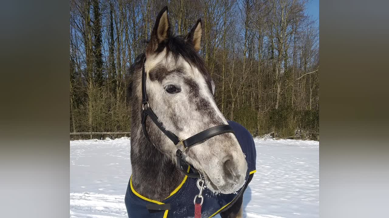 Was ist ein 'trockenes Fundament'¿ (1080p_30fps_H264-128kbit_AAC)