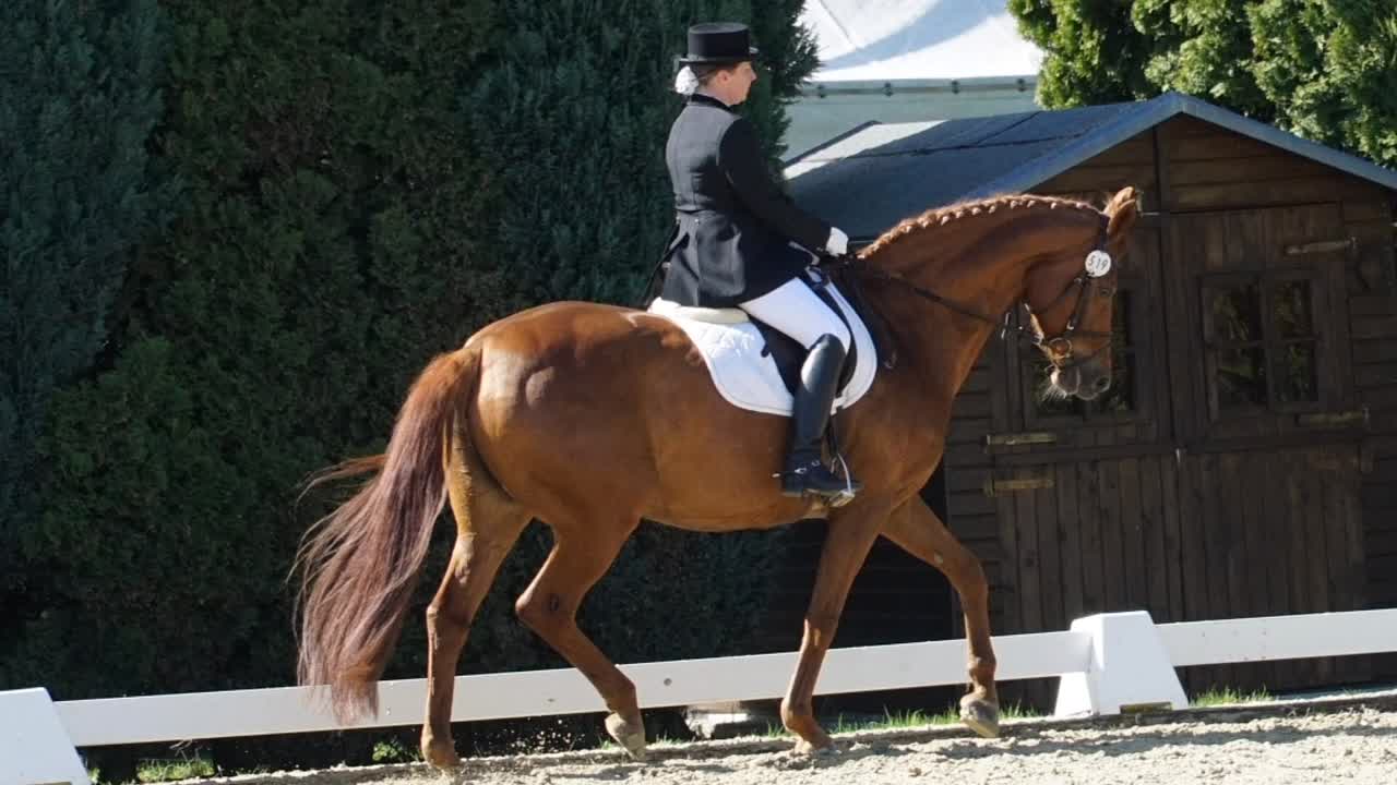 ⁣Was ist eine Drosselrinne¿ (1080p_30fps_H264-128kbit_AAC)