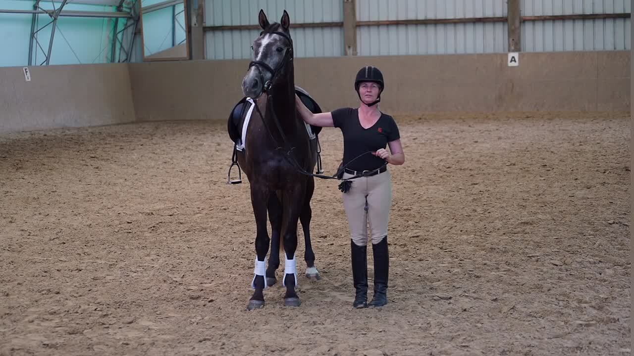 ⁣Was ist eine Remonte¿ (1080p_30fps_H264-128kbit_AAC)