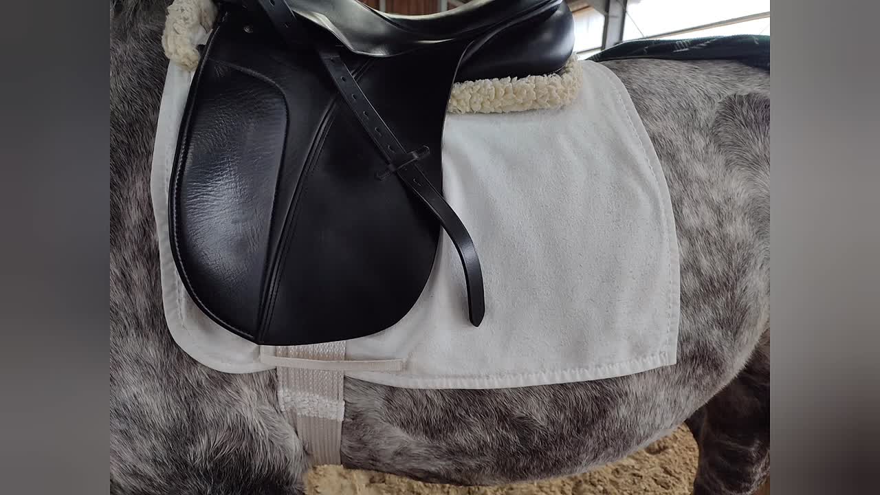 Was ist eine Warendorfer Lage¿ (1080p_30fps_H264-128kbit_AAC)