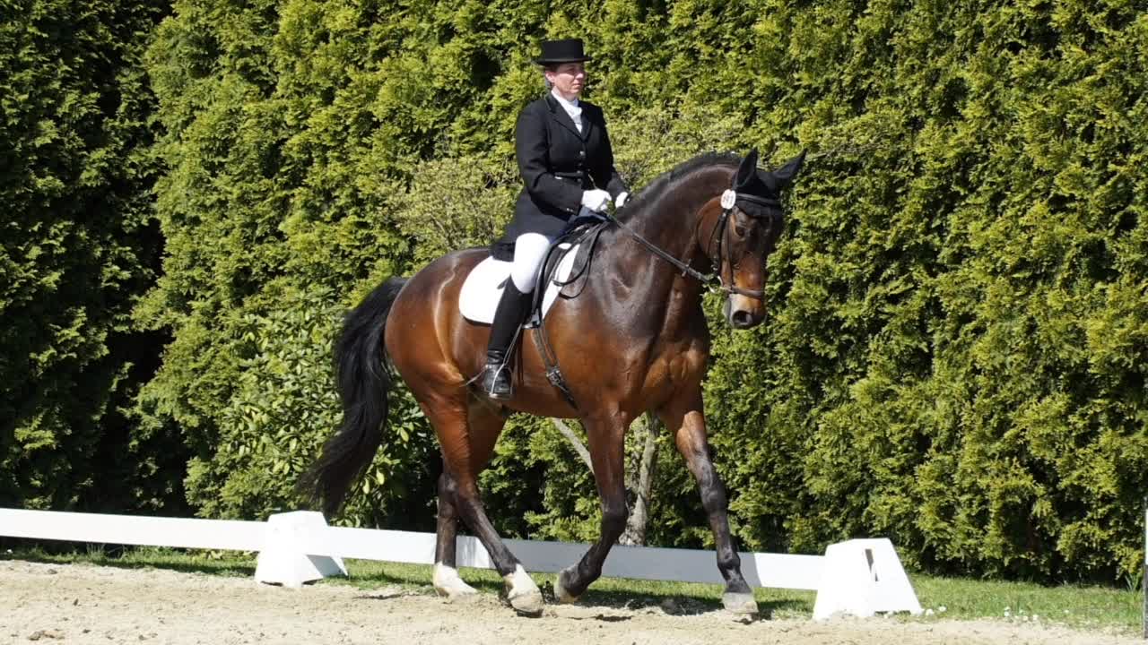 Was ist Hankenbeugung¿ (1080p_30fps_H264-128kbit_AAC)