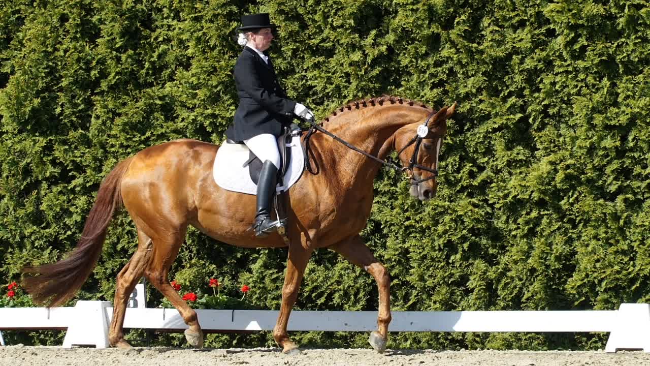 Was ist Knieaktion¿ (1080p_30fps_H264-128kbit_AAC)