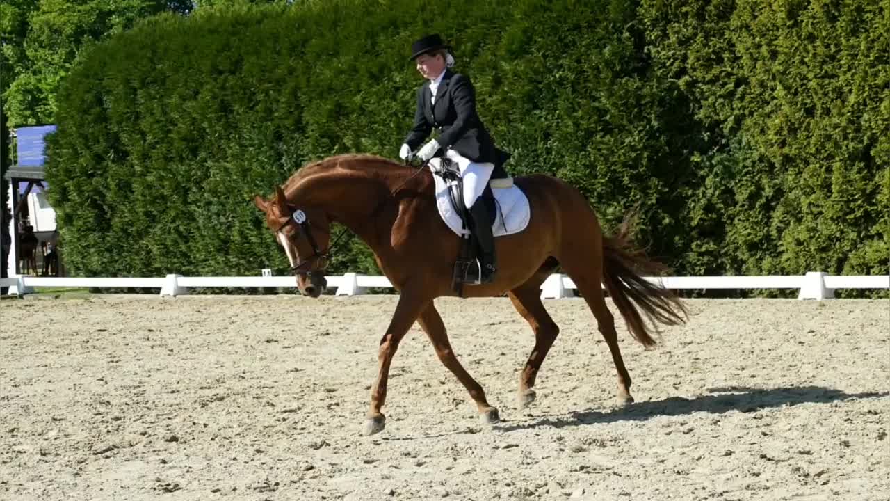 Was ist Längsbiegung¿ (1080p_30fps_H264-128kbit_AAC)