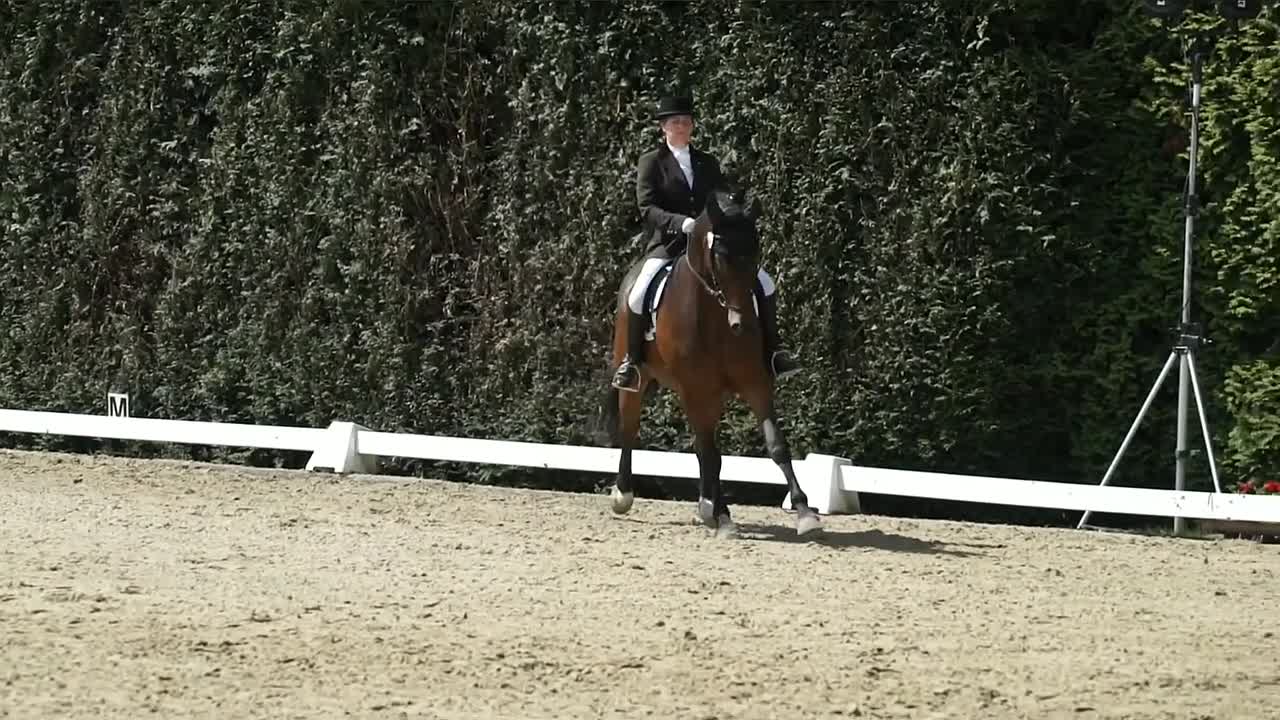 Zirkel (1080p_30fps_H264-128kbit_AAC)