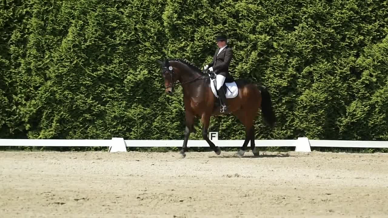 Wie lenke ich ein Pferd¿ (1080p_30fps_H264-128kbit_AAC)